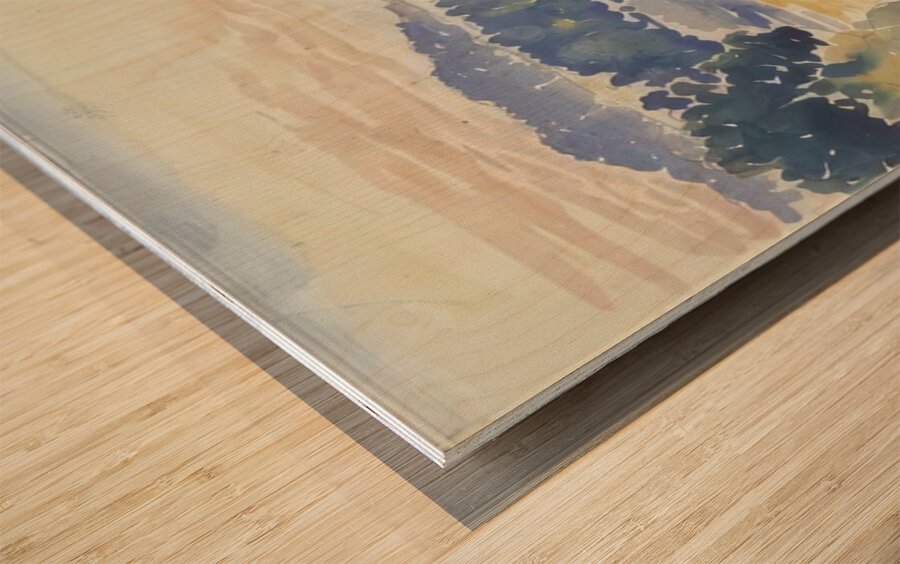 Henri Edmond Cross 31 Wood print