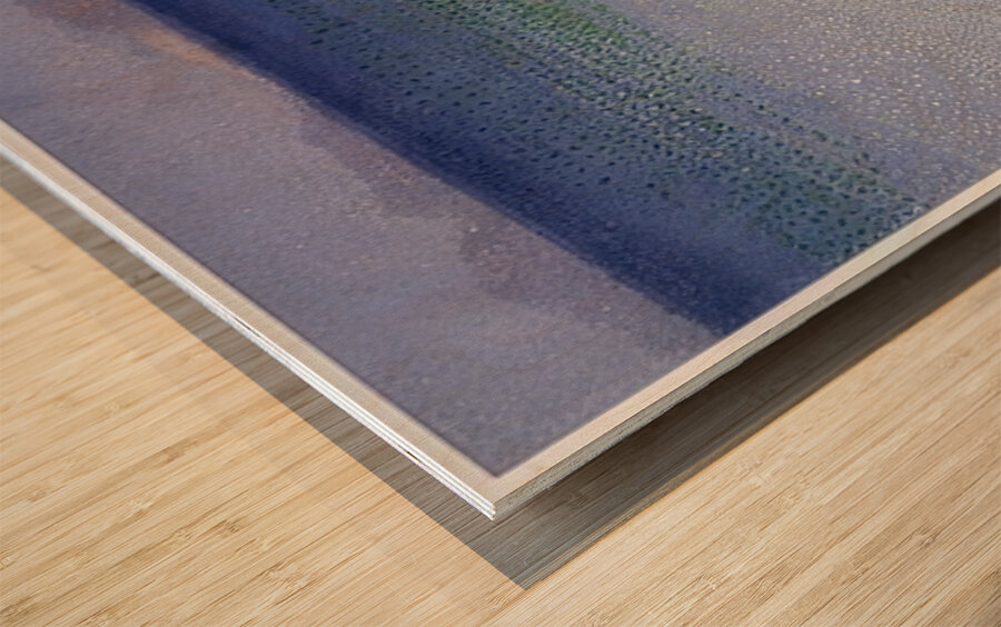 Henri Edmond Cross 13 Wood print