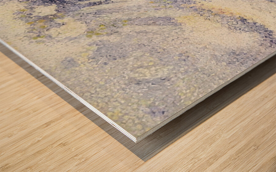 Henri Edmond Cross 22 Wood print