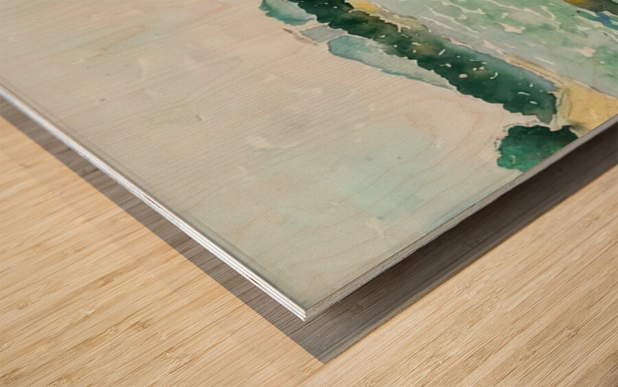 Henri Edmond Cross 27 Wood print