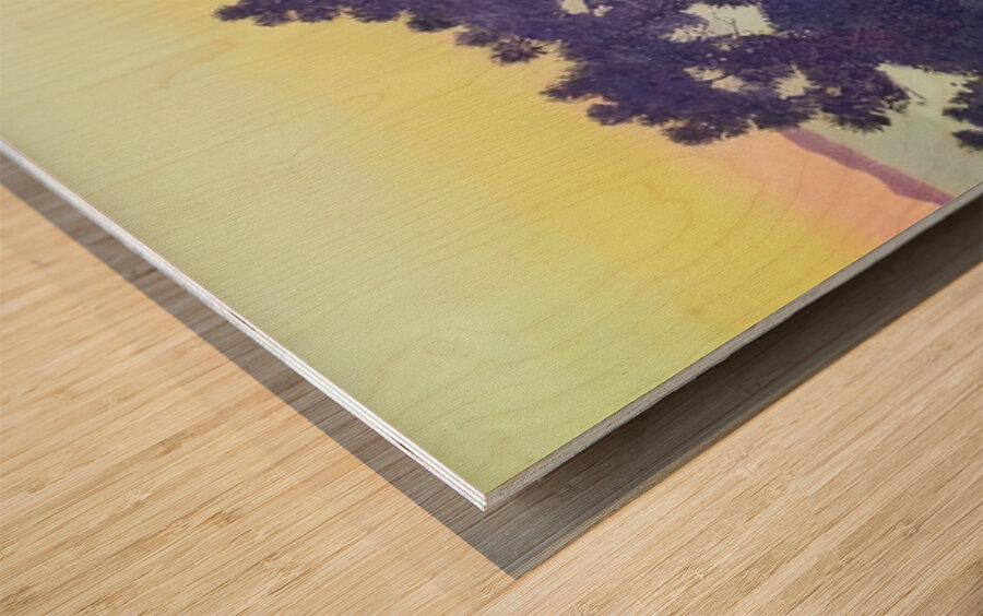 Henri Edmond Cross 30 Wood print