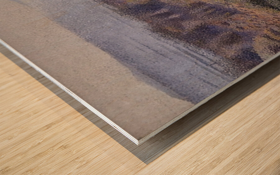 Henri Edmond Cross 51 Wood print