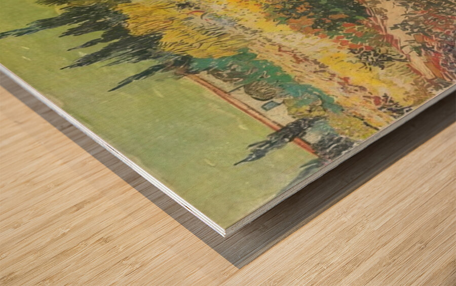 Vincent van Gogh 24 Wood print