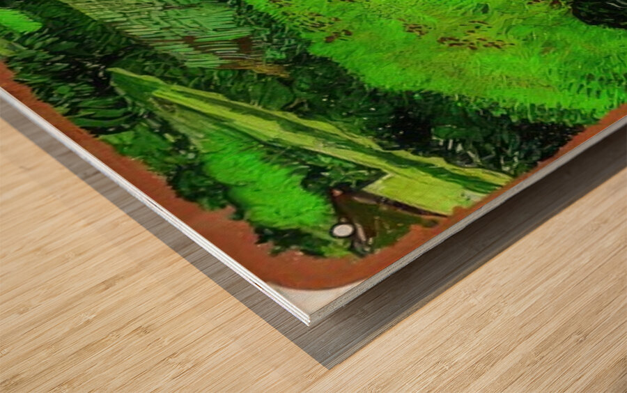 Vincent van Gogh 32 Wood print