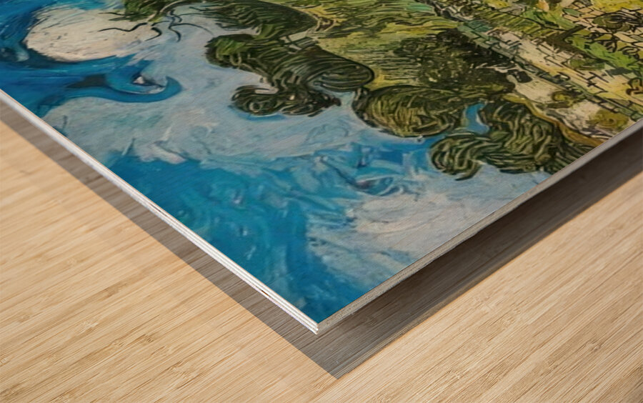 Vincent van Gogh 38 Wood print