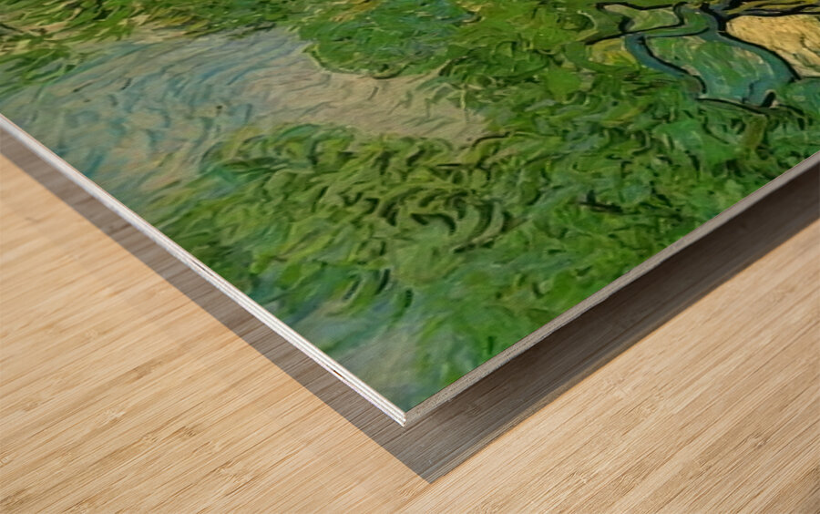 Vincent van Gogh 40 Wood print