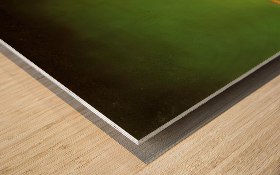 Salvador Dalí 9 Wood print