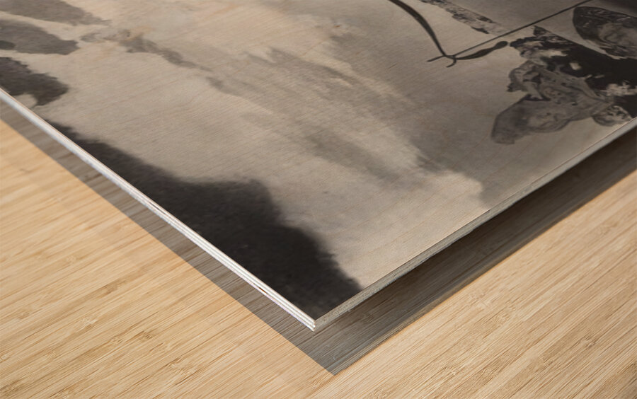 Salvador Dalí 31 Wood print