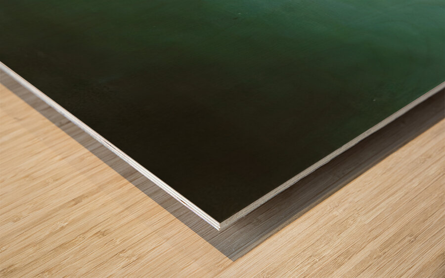 Salvador Dalí 37 Wood print