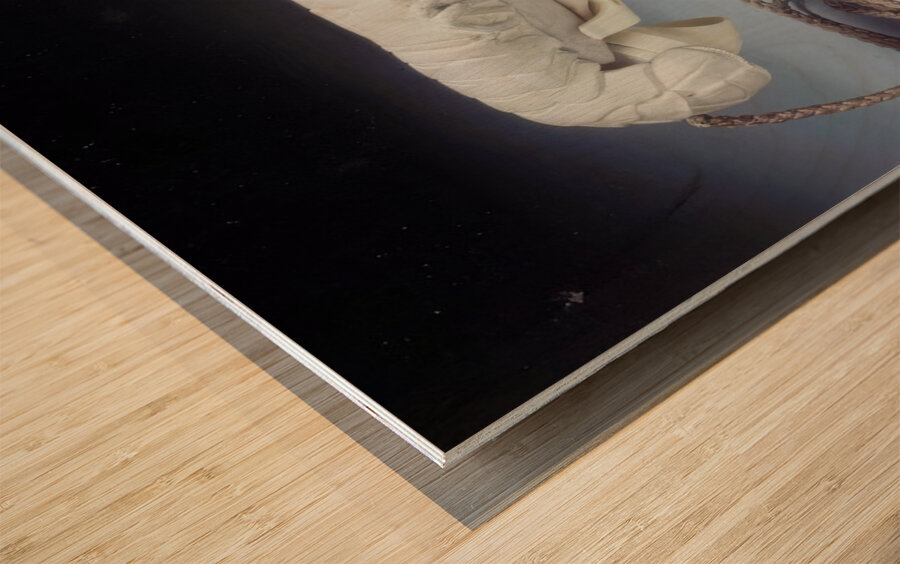 Salvador Dalí 41 Wood print