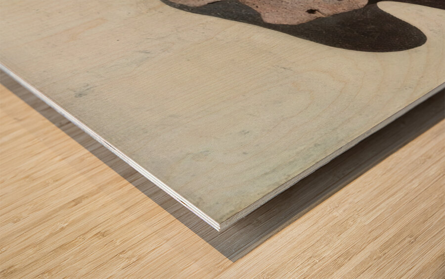 Salvador Dalí 44 Wood print