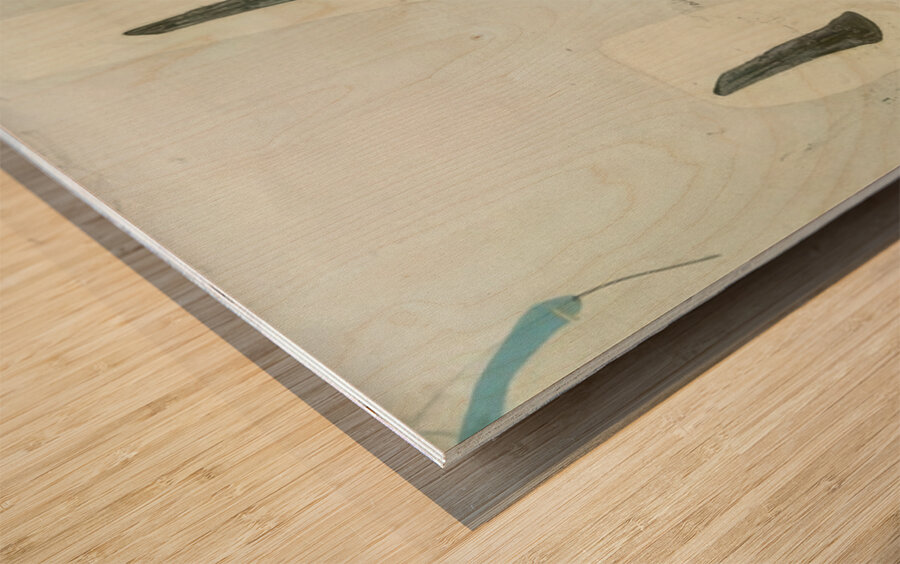 Salvador Dalí 49 Wood print