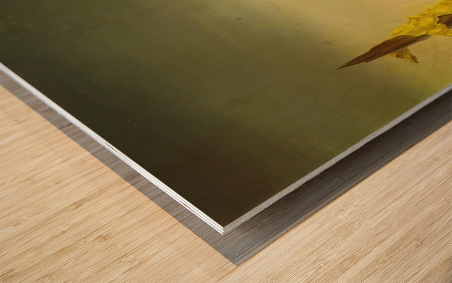 Salvador Dalí 6 Wood print