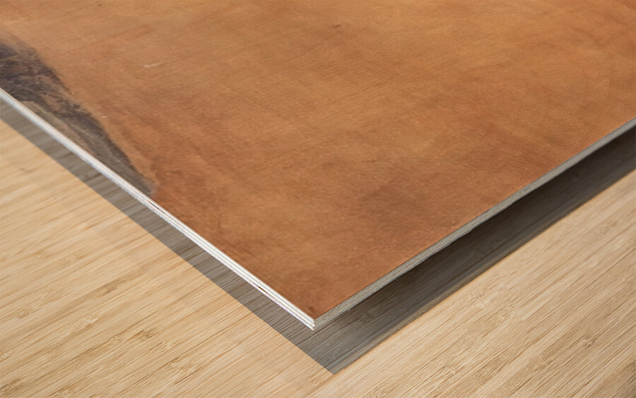 Salvador Dalí 11 Wood print