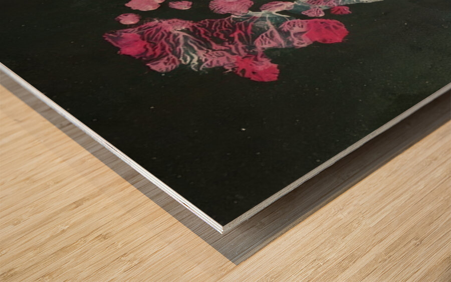 Salvador Dalí 28 Wood print