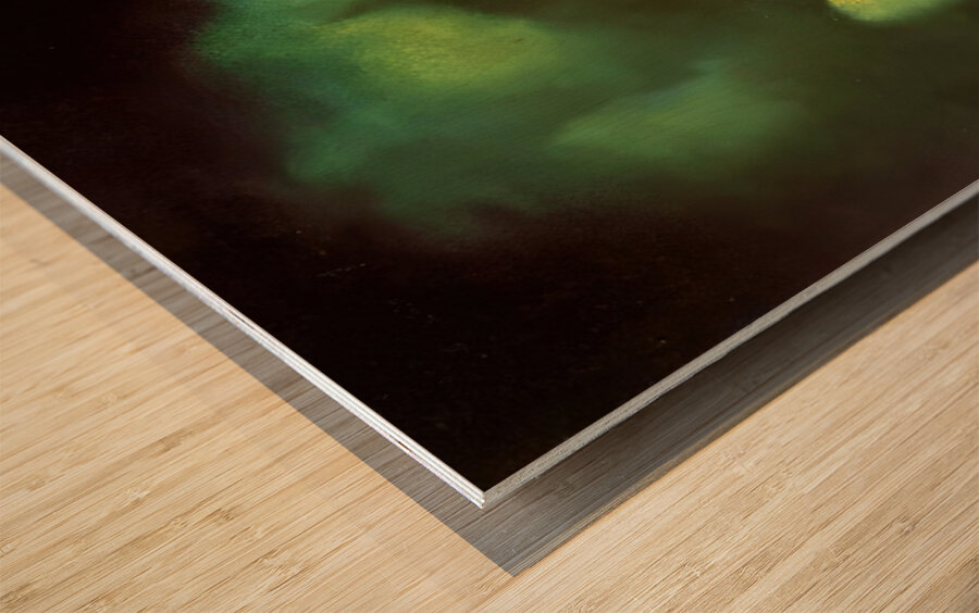 Salvador Dalí 34 Wood print