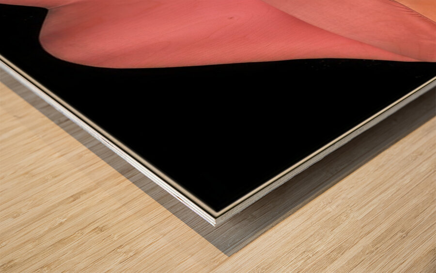 Salvador Dalí 40 Wood print