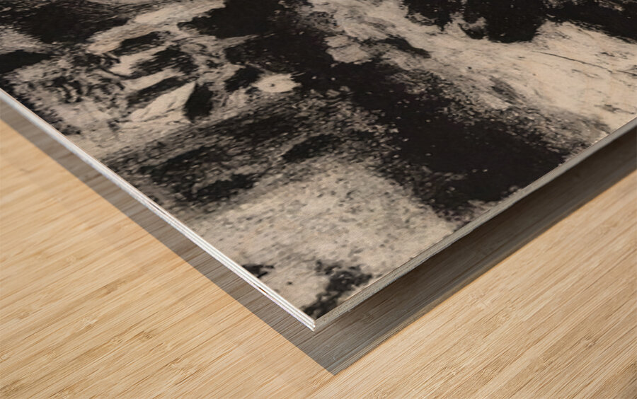 Salvador Dalí 49 Wood print