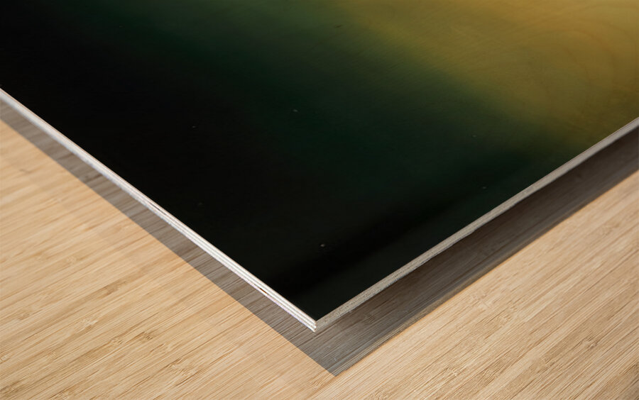 Salvador Dalí 51 Wood print