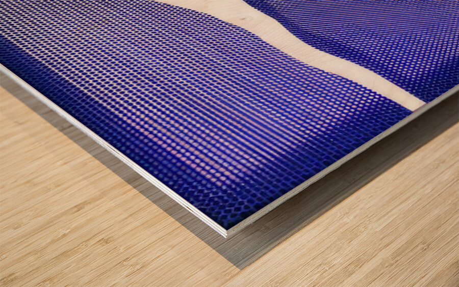 Roy Lichtenstein 3 Wood print