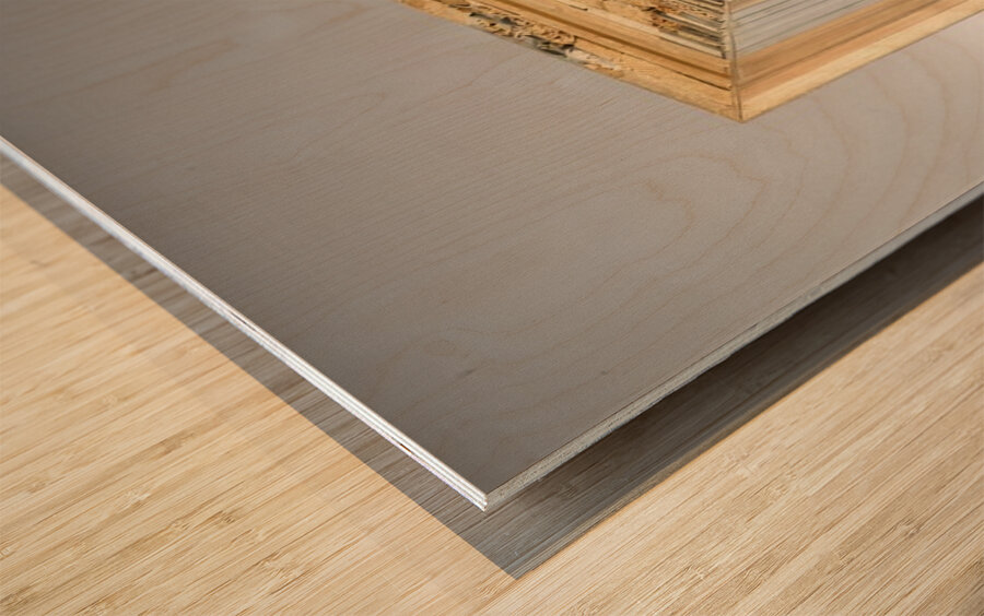 Roy Lichtenstein 10 Wood print