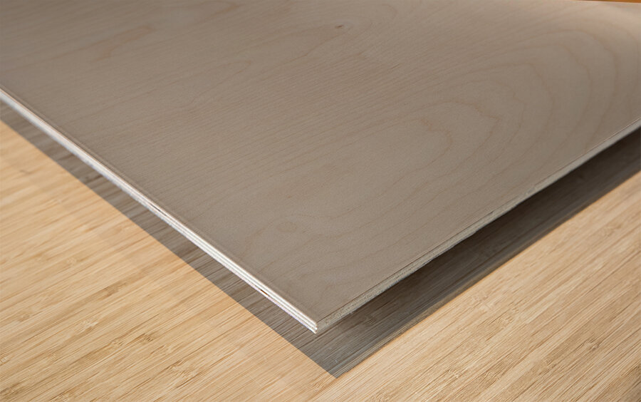 Roy Lichtenstein 16 Impression sur bois