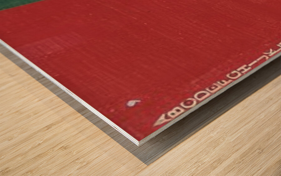 Roy Lichtenstein 22 Wood print