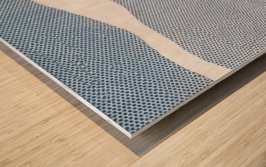 Roy Lichtenstein 27 Wood print