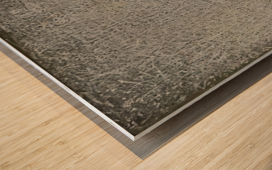 Mark Tobey 7 Wood print