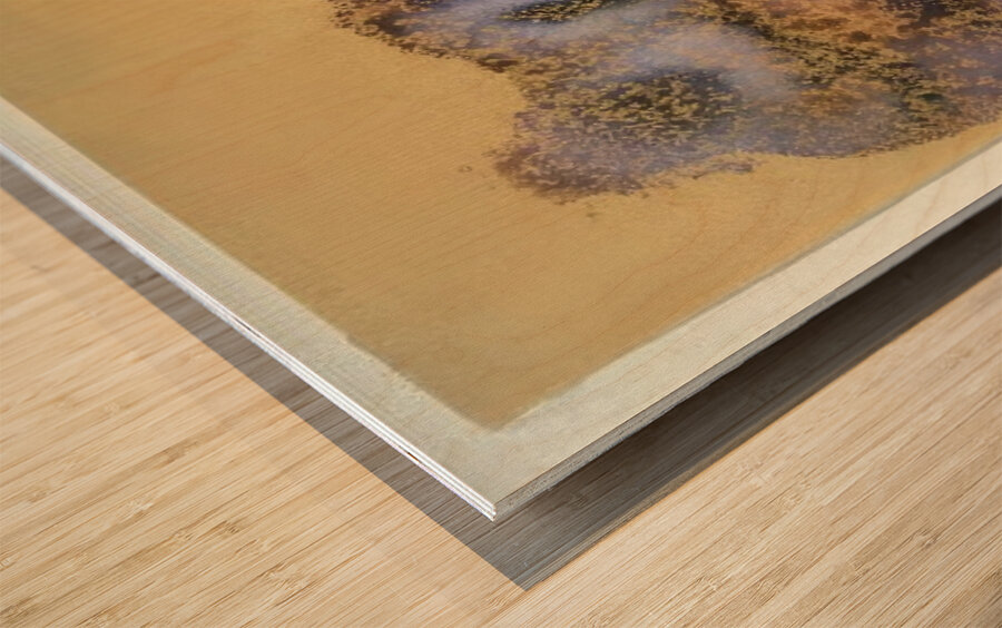 Mark Tobey 24 Wood print