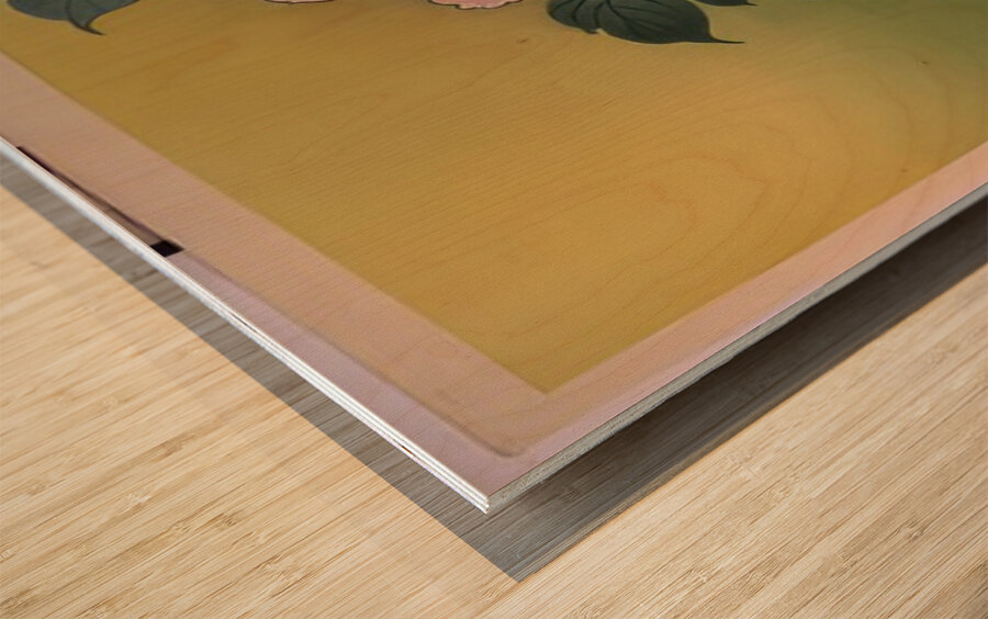 suchiya Koitsu 2 Wood print