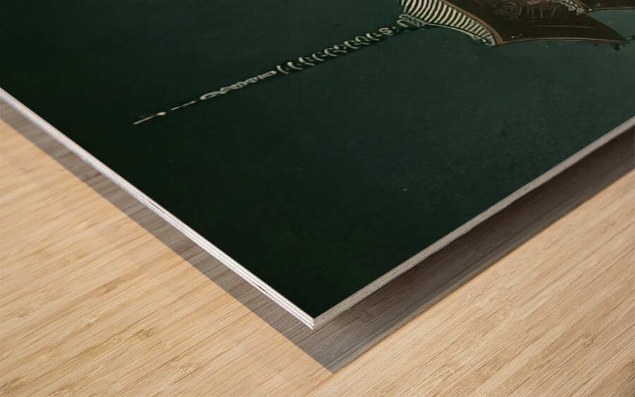 suchiya Koitsu 3 Wood print