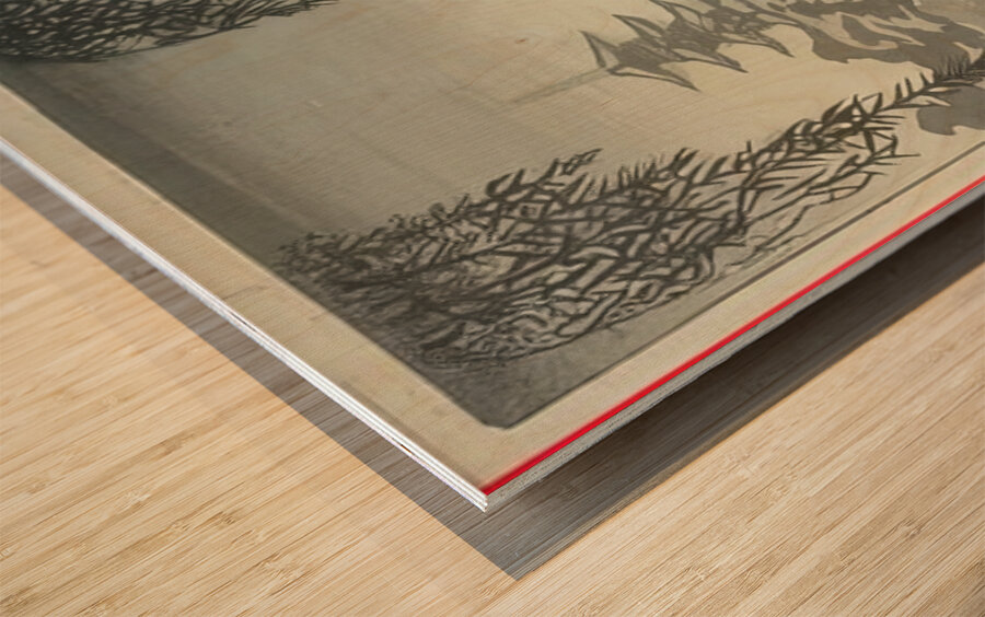 suchiya Koitsu 12 Wood print