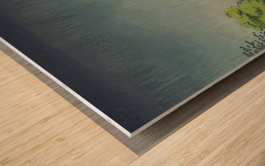 suchiya Koitsu 13 Wood print