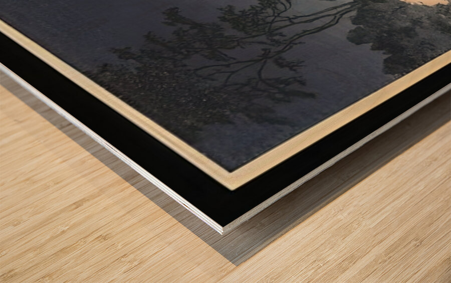 suchiya Koitsu 31 Wood print