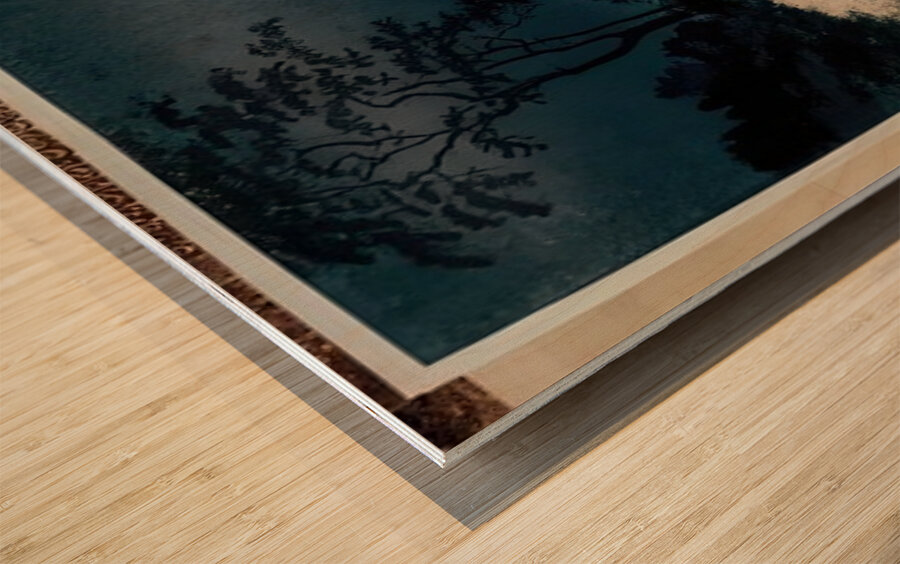 suchiya Koitsu 35 Wood print