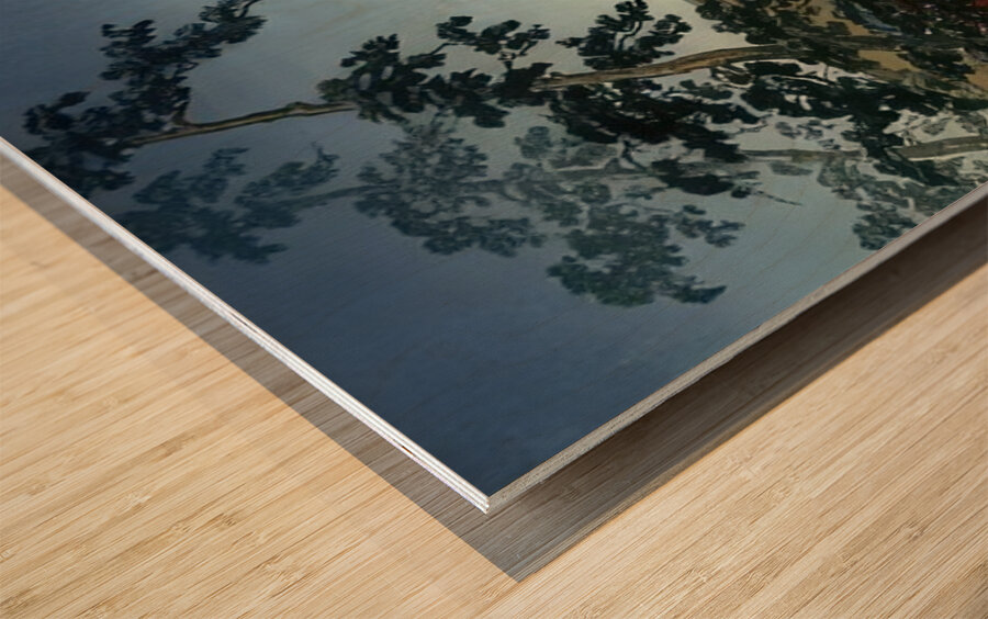 suchiya Koitsu 38 Wood print