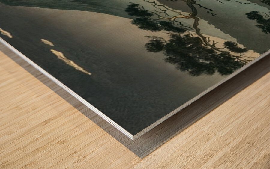 suchiya Koitsu 39 Wood print