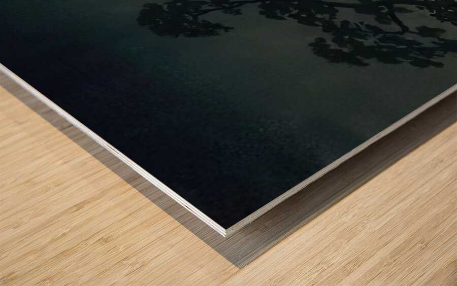 suchiya Koitsu 44 Wood print