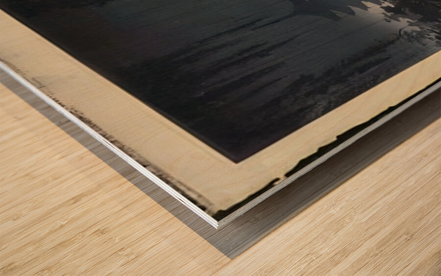 suchiya Koitsu 6 Wood print