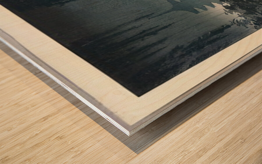 suchiya Koitsu 11 Wood print