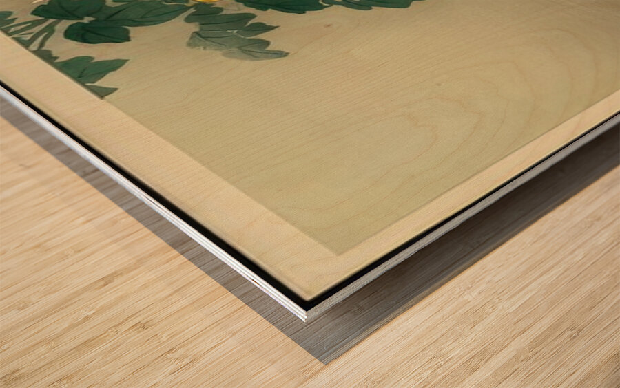 suchiya Koitsu 13 Wood print