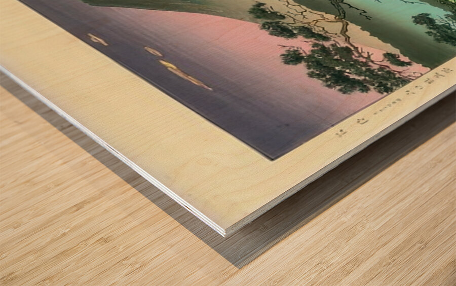 suchiya Koitsu 15 Wood print