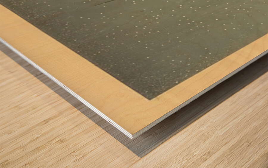 suchiya Koitsu 17 Wood print