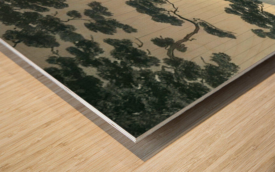 suchiya Koitsu 28 Wood print