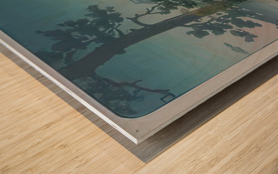 suchiya Koitsu 29 Wood print