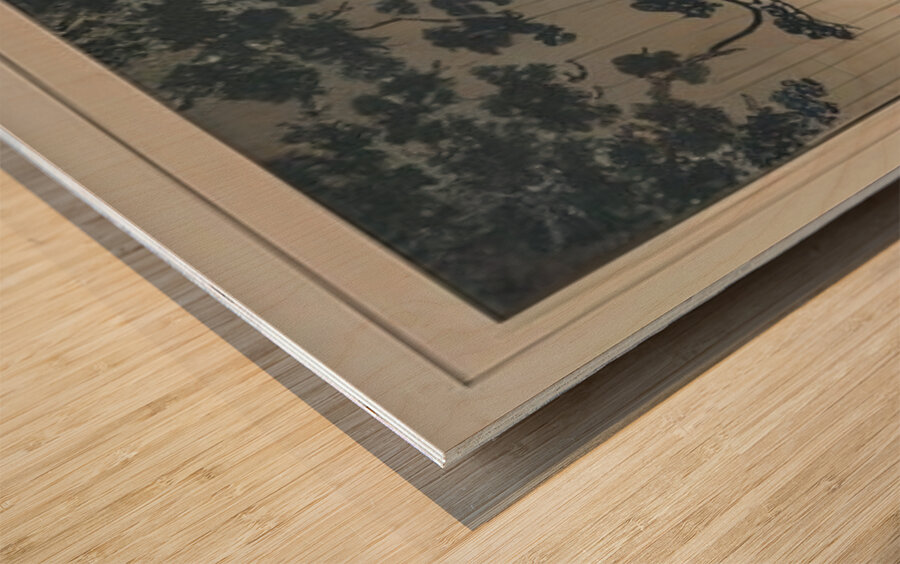 suchiya Koitsu 37 Wood print