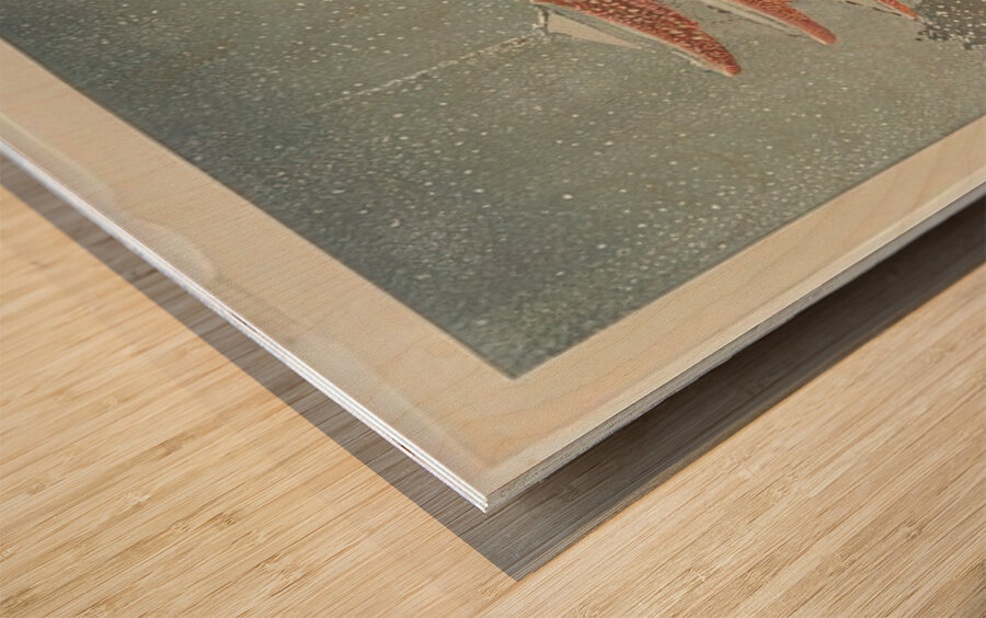 suchiya Koitsu 41 Wood print