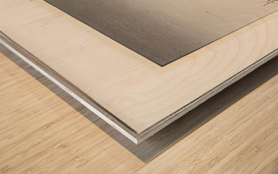 suchiya Koitsu 8 Wood print