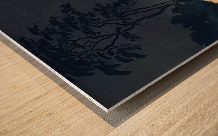 suchiya Koitsu 9 Wood print